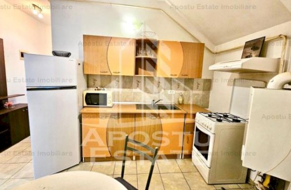 Apartament o camera Sagului petfriendly