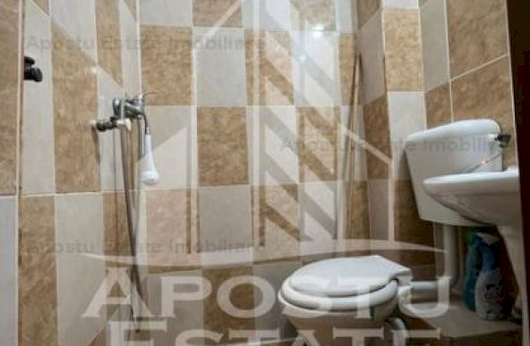 Apartament cu 1 camera, complet renovat in zona Iosefin