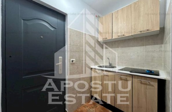 Apartament cu 1 camera, complet renovat in zona Iosefin