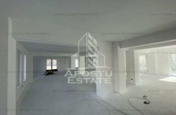 Spatiu comercial 238 mp, zona Lipovei , artera circulata