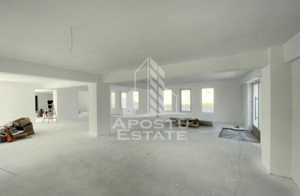 Spatiu comercial 238 mp, zona Lipovei , artera circulata