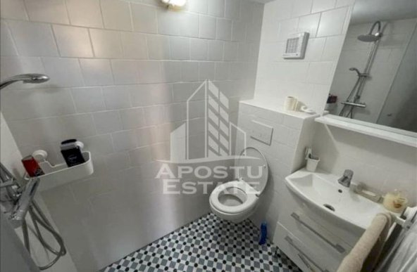 Apartament 2 camere + garsoniera, garaj, renovat complet, Badea Cartan