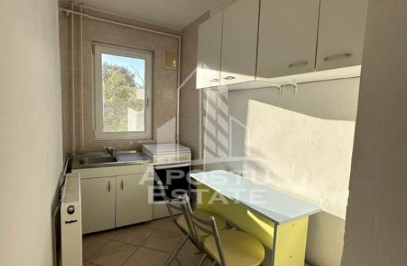 Apartament cu 2 camere, complet mobilat, zona Girocului