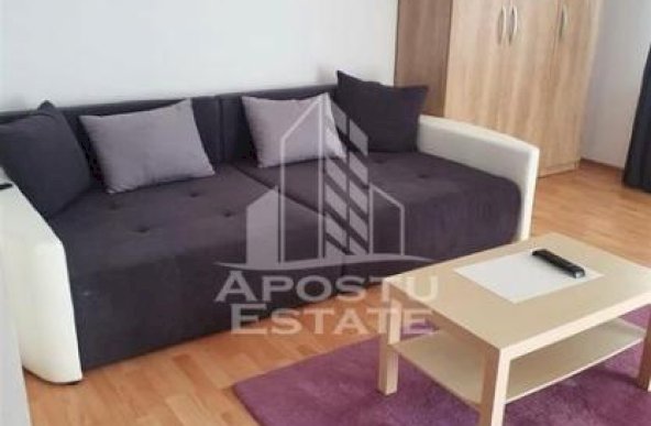 Apartament cu o camera, centrala proprie, Zona Aradului