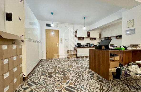 Apartament cu 2 camere, terasa 124mp, zona Torontalului