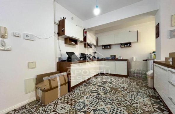 Apartament cu 2 camere, terasa 124mp, zona Torontalului