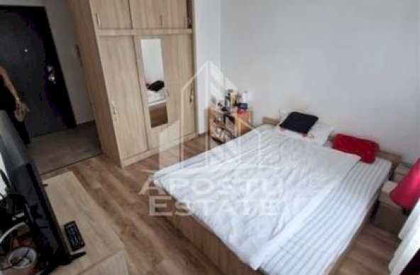 Apartament cu o camera,Torontalului