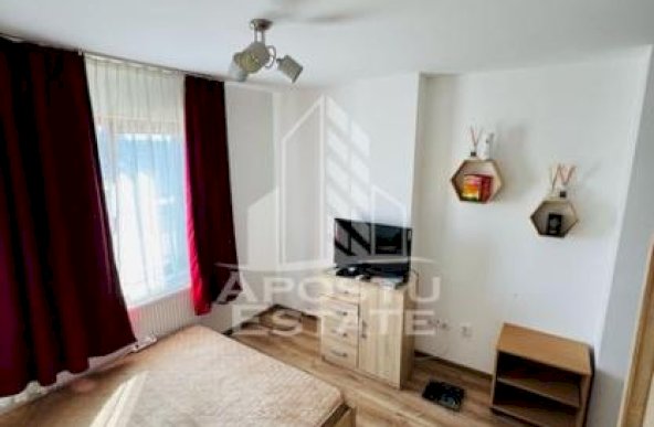 Apartament cu o camera,Torontalului