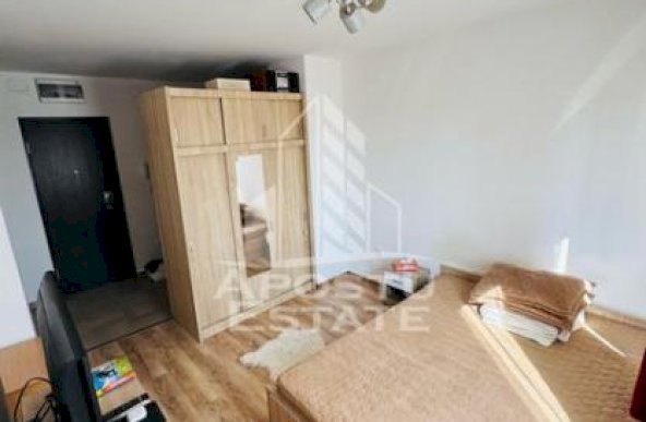 Apartament cu o camera,Torontalului