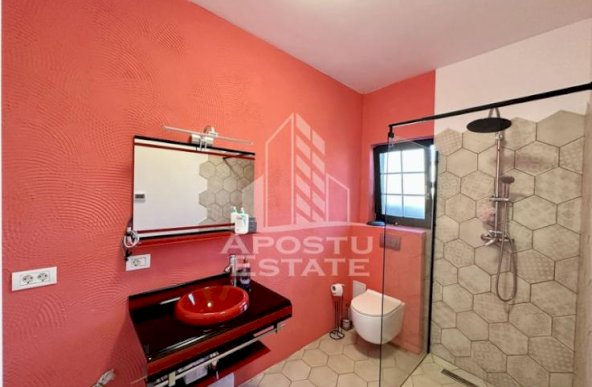 Jumatate de duplex cu 5 camere, Sanadrei