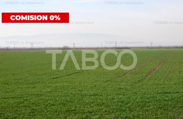 Teren extravilan agricol 5265mp utilitati front 48mp Oarda Alba Iulia