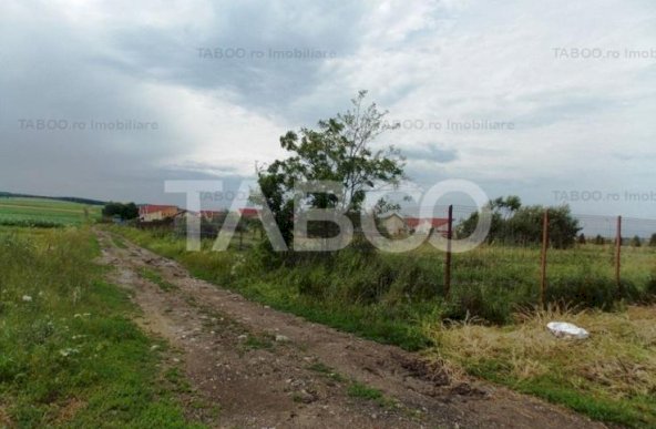 Teren extravilan de vanzare 10000 mp deschdere de 100 m in Sura Mica 