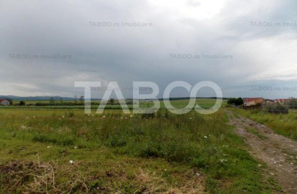 Teren extravilan de vanzare 10000 mp deschdere de 100 m in Sura Mica 