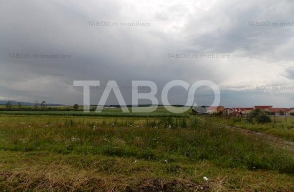 Teren extravilan de vanzare 10000 mp deschdere de 100 m in Sura Mica 