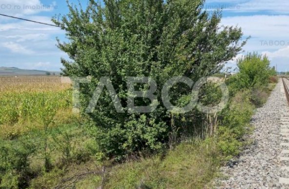 Teren de vanzare extravilan 28000 mp in Sura Mica judetul Sibiu