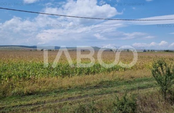 Teren de vanzare extravilan 28000 mp in Sura Mica judetul Sibiu