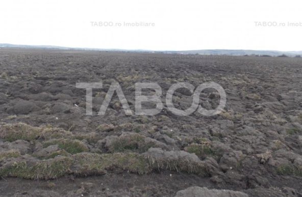 Teren intravilan de vanzare 10.000 mp in zona Industriala Vest Sibiu