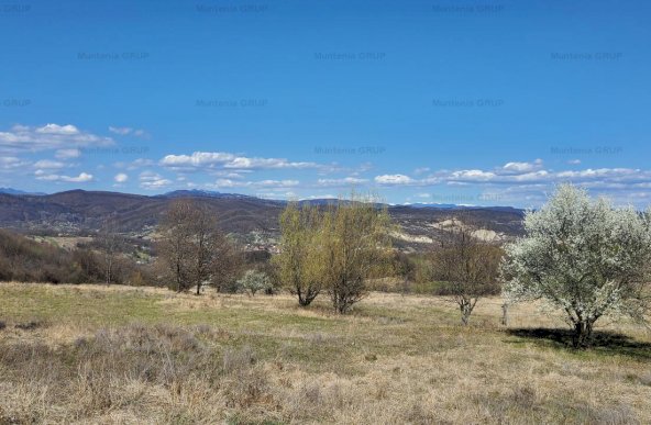 Ocazie ! OCNELE MARI - Sorat, 17,83 Ha. cu pozitie exceptionala