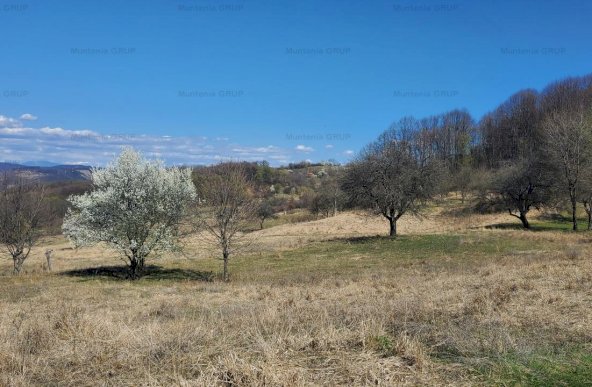 Ocazie ! OCNELE MARI - Sorat, 17,83 Ha. cu pozitie exceptionala