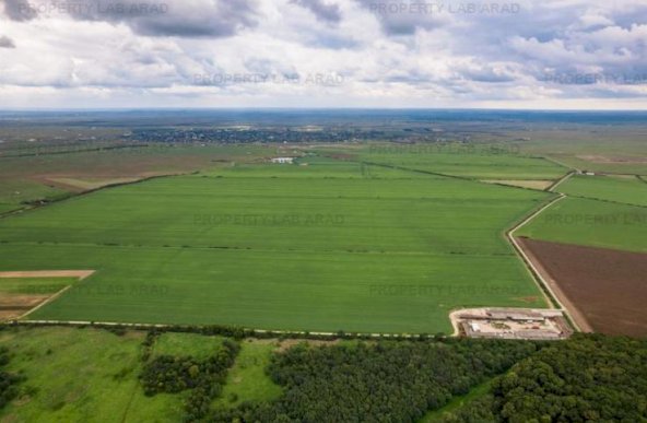 Teren arabil de 1299 hectare în Iași