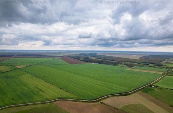 Teren arabil de 1074 hectare în Ialomița