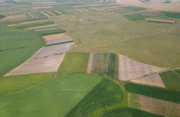 Teren arabil de 26 hectare în Argeș