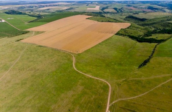 Teren arabil de 42 hectare în Vrancea
