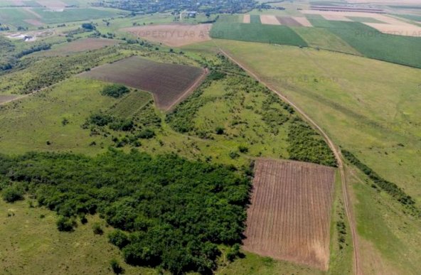 Teren arabil de 42 hectare în Vrancea