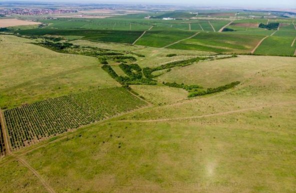 Teren arabil de 1771 hectare în Dolj