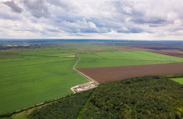 Teren arabil de 30 hectare în Constanța