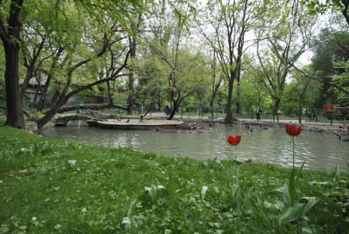 Piscine, porturi turistice si amfiteatre pe Lacurile Tei si Floreasca. Lucrarile incep in 2012