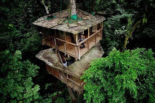 Cele mai ingenioase case in copac din lume