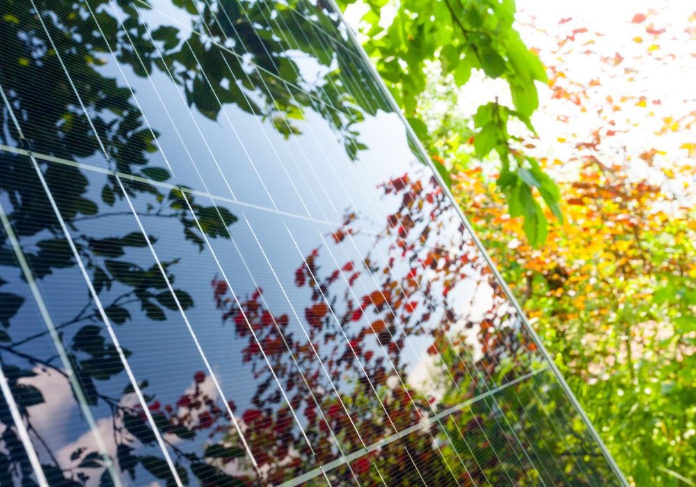 tbi bank oferă finanțare pentru achiziția de panouri fotovoltaice, în parteneriat cu DbSolar. „Românii sunt foarte interesați de energia solară în acest moment”